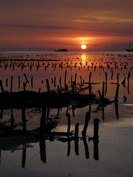Sunset over seaweed farm, Nusa Lembongan by Doug Anderson 